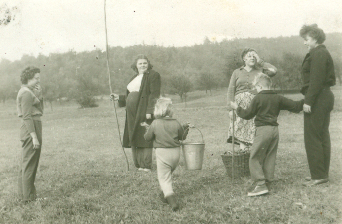 Pravděpodobně Jaroslava, Marie a Olga, dále nerozpoznáno.